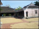 Rice Drying in Wat Courtyard