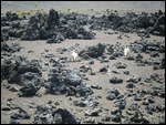 Moonscape Looking - Haleakala National Park
