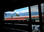 Walking Down Open Hall out of Maui Airport