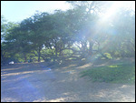Maui Beach