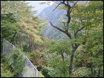 Nikko