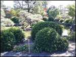 Nara Japanese Garden