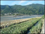 Arashiyama