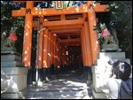 Fushimi Inari Shrine-Tori (Gate)