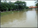 Flooding in Siem Reap, Cambodia