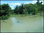 Battambang Flood