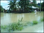 Battambang Flood