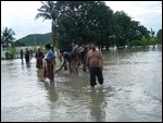 Fishing in Flooded Streets