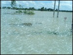 Battambang Flood
