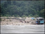 Working Elephants On the Mekong
