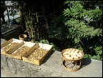 Food Dries in Sun, Luang Prabang, Laos