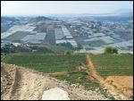 Greenhouses, Da Lat, Vietnam