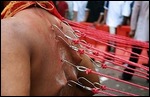 Thaipusam Festival Hooks in Skin