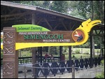 Semenggoh Nature Reserve, Kuching, Malaysia