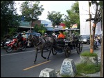 Pony Cart (Andong), Yogyakara, Indonesia