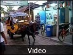 VIDEO-Gili Trawangan Island, Indonesia