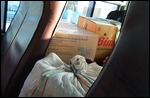 Cargo Inside Bus