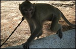 Cambodia