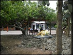 Puerto Ayora, Galapagos, Ecuador