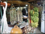 Bananas, $2 or $3 for All, Village, Ecuador