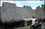 Guide, Luba Village, Bajawa, Flores, Indonesia