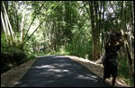To Villages, Bajawa, Flores