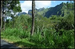 Village, Bajawa, Flores, Indonesia
