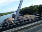 On Bus to Chocolate Hills, Philippines