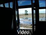 VIDEO-Local Bus Ride to Loboc