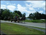 Bethesda Day Parade, Arkansas