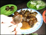 Snails, Vietnam