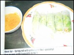 Delicious Spring Rolls (raw, cooked, fried)
