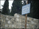 To Mt of Olives From Jerusalem
