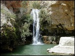 En Gedi