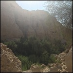 David Hid in En Gedi Caves