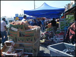 Arab Market, Jerusalem