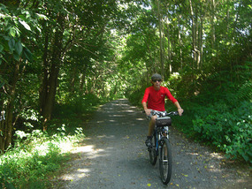 Kyle on Virginia Creeper Trail
