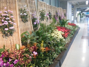 Bangkok Airport