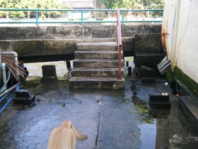 Walking to Canal