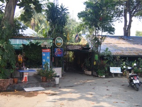 Jolly Frog Hostel