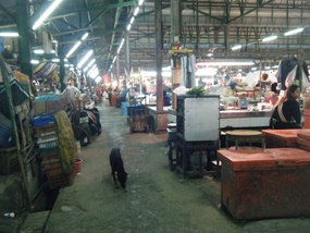 Market- Dogs Roam Free in Bangkok