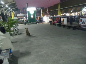 Thonburi Train Station-Bangkok