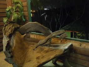 Beautiful Furniture at River Raft House