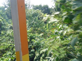 Hanging Out Train