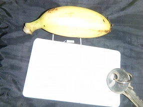 Finger Size Banana Compared to Key Card