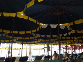 Umbrella Canopy