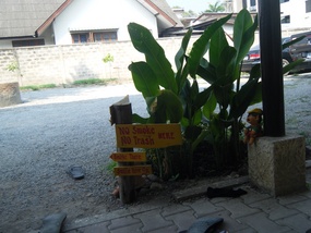 Spicythai Hostel