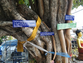 Wat Tree