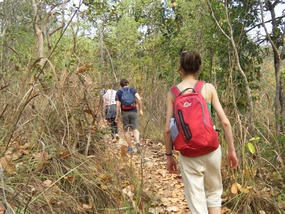 Up The trail