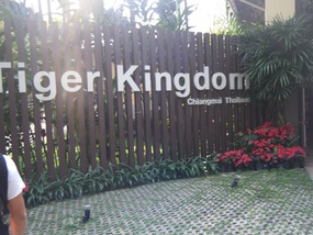 Tiger Kingdom